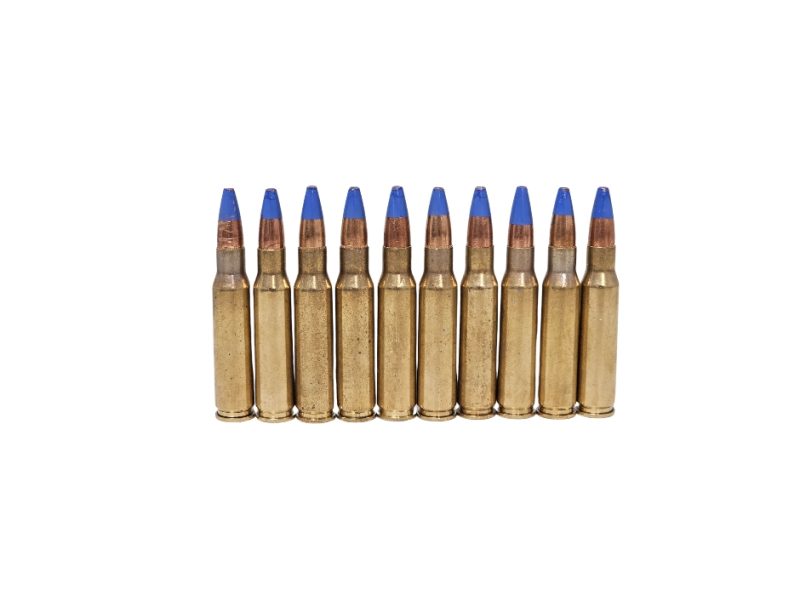 Paraklese .308 Win Firestorm Incendiary 147 Grain Hollow Point